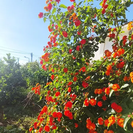 Stone House אכסניה