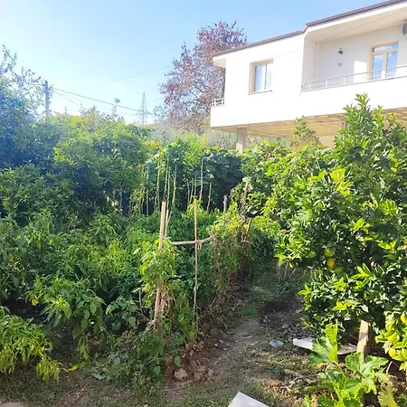 Stone House Elbasan